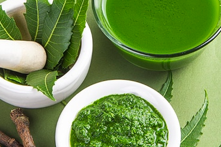 Ilustrasi pestisida nabati dari daun mimba