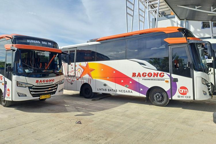 Layanan Bus Lintas Batas Negara Kupang-Timor Leste resmi beroperasi