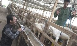 Jelang Idul Adha, Dompet Dhuafa Terjunkan Tim QC THK untuk Lakukan Pemeriksaan Kualitas dan Kelayakan Hewan Ternak