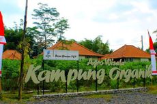 Wisata Kampung Organik, Tempat Asyik Menikmati Alam Pedesaan