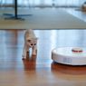 Perhatikan, Begini Cara Membersihkan Robot Vacuum Cleaner yang Benar