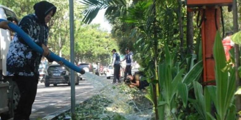 Wali Kota Surabaya Tri Rismaharini ikut turun membenahi kondisi taman di sepanjang Jalan Raya Darmo dan Taman Bungkul Surabaya yang rusak diinjak-injak ribuan warga, Minggu (10/5/2014). 
