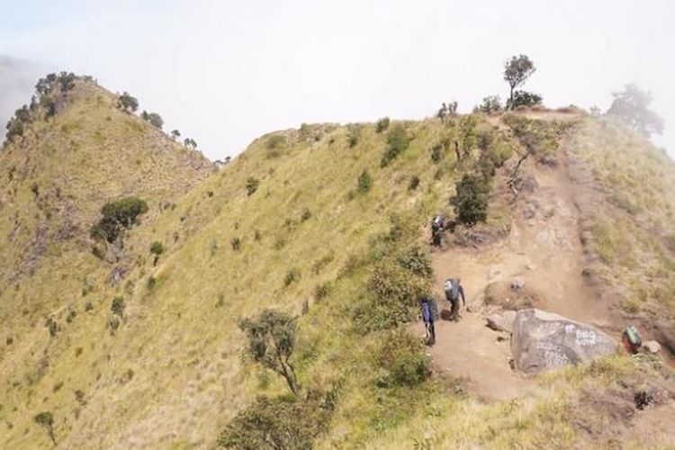 Jalur pendakian menuju Puncak Merbabu dilihat dari Puncak Syarif, 3.119 mdpl. Jalur terlihat seperti beberapa punuk unta yang bergabung. 