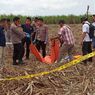 Kerangka Manusia Ditemukan di Kebun Tebu Lumajang, Diduga Sudah 2 Tahun