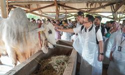 Permintaan Melonjak Jelang Idul Adha, Bupati Lamongan Pastikan Stok Hewan Kurban Aman dan Sehat