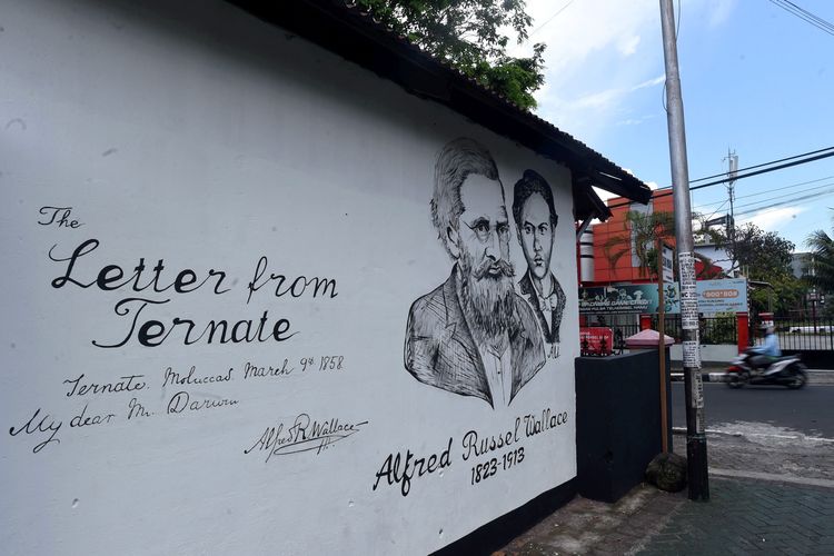 Mural Ahli biologi Alfred Russel Wallace bersama asistennya Ali berada di lorong pemukiman yang dipercaya sebagai tempat tinggalnya saat tinggal di Ternate pada Januari 1858, Kota Ternate, Maluku Utara, Minggu (21/4/2019). Wallace kemudian mengirum surat kepada Charles Darwin yang dikenal dengan Surat dari Ternate yang kemudian menjadi tonggak penting bagi Darwin untuk menerbitkan bukunya, Origin of Species, pada 1859. Buku ini berisi proses seleksi alam yang memicu evolusi. Dari sini, Darwin dikenal sebagai Bapak Evolusi.