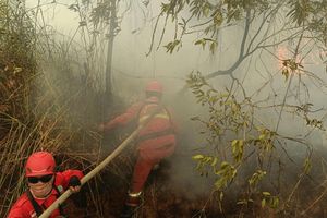 Empat Bulan Melawan Karhutla di Sumsel, Kesehatan Personel Manggala Agni Mulai Menurun