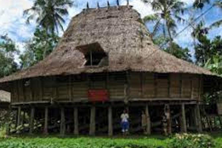 Rumah adat Nias untuk kepala desa disebut Omo Sebua.