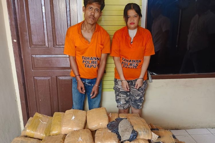 Ketahuan Bawa Ratusan Paket Ganja Usai Tabrak Truk, 2 Orang di Tapanuli Utara Ditangkap