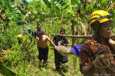 Resahkan Warga, Buaya Sepanjang 2,5 Meter di Bojonegoro Akhirnya Ditangkap