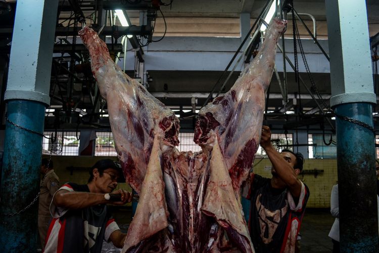 Pekerja memotong daging sapi di Rumah Pemotongan Hewan (RPH) Dinas Pertanian dan Ketahanan Pangan di Bandung, Jawa Barat, Senin (26/2). Pemerintah memperkirakan total produksi daging sapi nasional sepanjang 2018 mencapai 403.668 ton dan perkiraan kebutuhan daging sapi di dalam negeri 2018 sebesar 663.290 ton. ANTARA FOTO/Khairizal Maris/aww/18.