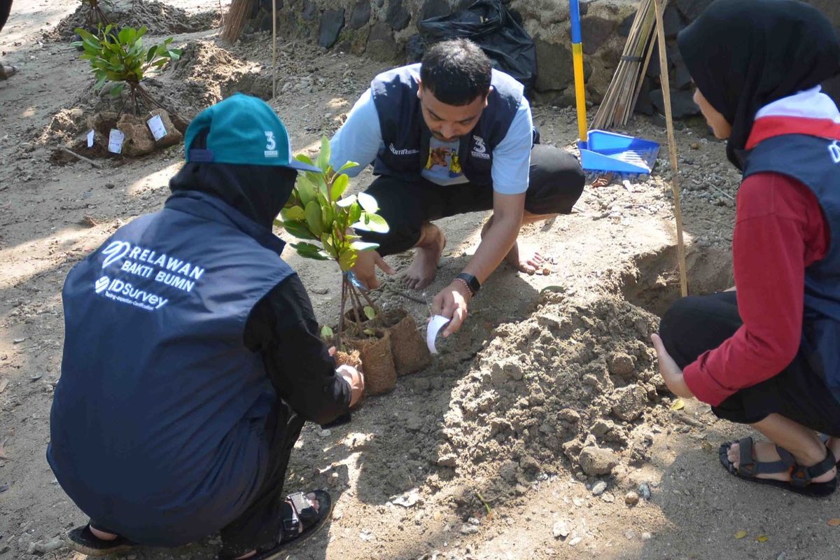 Relawan Bakti BUMN dan IDSurvey melakukan penanaman mangrove di Pantai Carita, Pandeglang, Banten, sebagai salah satu upaya konservasi kawasan pesisir, serta untuk memeringati HUT ke-78 RI. 