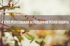 4 Jenis Penyerbukan Berdasarkan Perantaranya