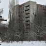 Begini Nasib Hewan dan Tumbuhan Pasca Ledakan Nuklir Chernobyl