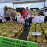 Jual Gas Subsidi di Atas HET, 179 Tabung 3 Kg di Kalsel Disita, Pangkalan Terancam Sanksi