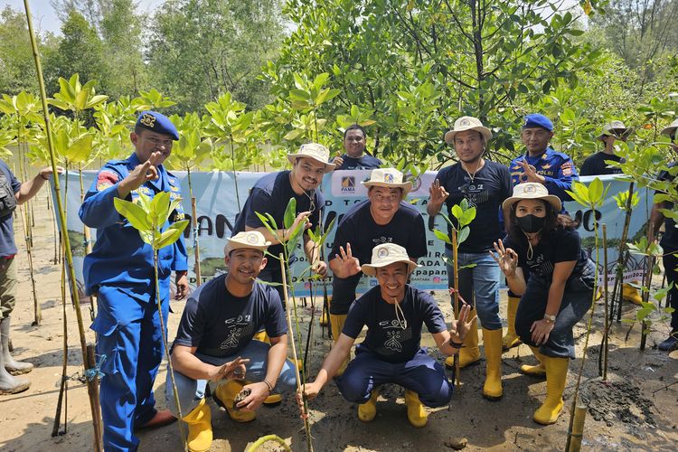PT Pamapersada Nusantara (PAMA), anak usaha PT United Tractors Tbk (UNTR), pada Selasa (5/9/2023) melakukan aksi penanaman 300 bibit pohon bakau (mangrove) di Kawasan Wisata Pantai Lamaru, Kota Balikpapan, Kalimantan Timur (Kaltim).