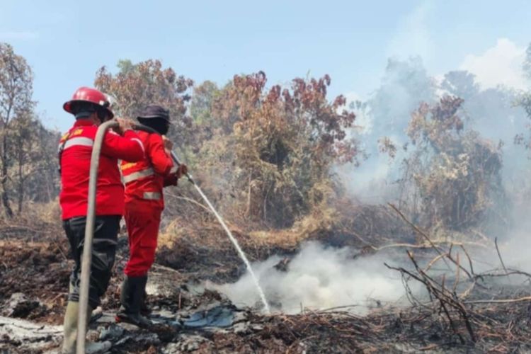 Petugas memadamkan titik api karhutla di Desa Tanjung Kuras, Kecamatan Sungai Apit, Kabupaten Siak, Riau, Minggu (17/3/2024).