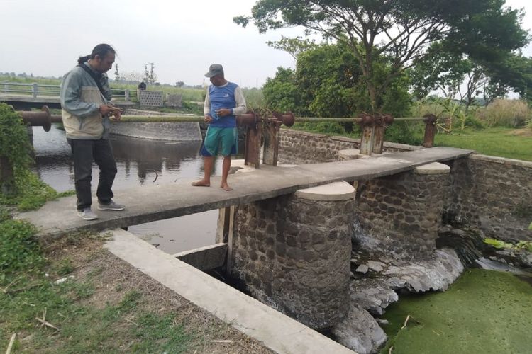 Kondisi sungai Avur Budug Kesambi di Dusun Gongseng, Desa Pojokrejo, Kecamatan Kesamben, Kabupaten Jombang, Jawa Timur, Jumat (29/11/2019). Aliran sungai itu diduga tercemar limbah industri dengan kandungan Klorin dan belerang.