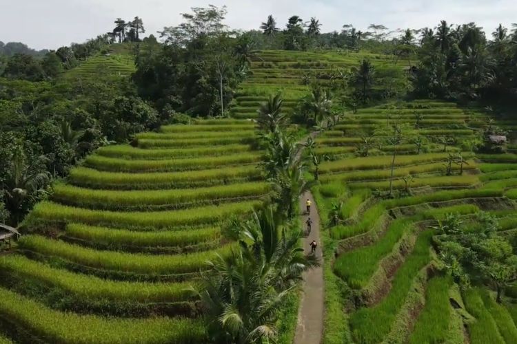 Megaterasering Sukamulya Pangandaran, Hamparan Sawah Berundak yang Menjadi Wajah Lain Pesisir Selatan 