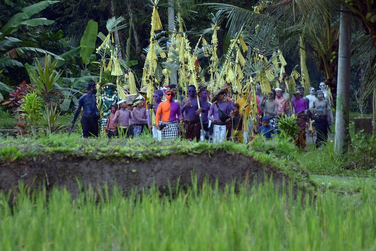 Warga yang berhias warna-warni berjalan melewati kawasan persawahan dengan membawa berbagai sarana upacara saat tradisi Ngerebeg di Desa Tegallalang, Gianyar, Bali, Rabu (13/7/2022). Tradisi Ngerebeg yang ditetapkan sebagai Warisan Budaya Tak Benda oleh Kementerian Pendidikan, Kebudayaan, Riset, dan Teknologi Republik Indonesia tersebut ramai disaksikan wisatawan mancanegara. ANTARA FOTO/Nyoman Hendra Wibowo/tom.

