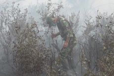 1.500 Hektar Lahan Gambut Terbakar di OKI Dipadamkan dengan Alat Seadanya