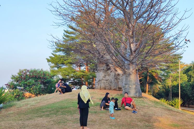 Piknik di Taman Kota Ria Rio Jakarta Timur: Jam buka dan tiket masuk