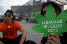 DPR Uruguay Sahkan Legalisasi Mariyuana