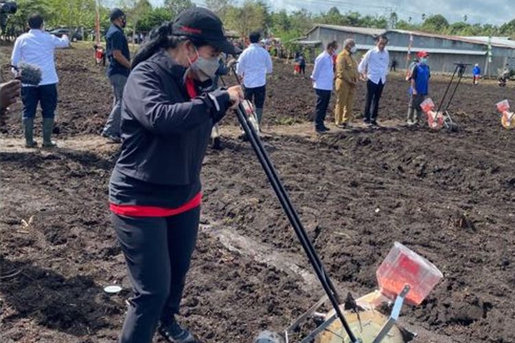 Ketua DPR RI Puan Maharani menanam jagung dalam kunjungan kerja bersama Presiden Joko Widodo (Jokowi) di Kawasan Jalan Rajawali, Kelurahan Klamesen, Distrik Mariat, Kabupaten Sorong, Senin (4/10/2021).