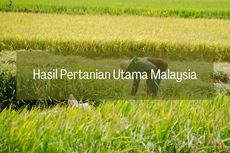 Hasil Pertanian Utama Malaysia