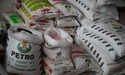 Sinergi Pemerintah Pusat dan Daerah jadi Kunci Atasi Kelangkaan Pupuk Bersubsidi