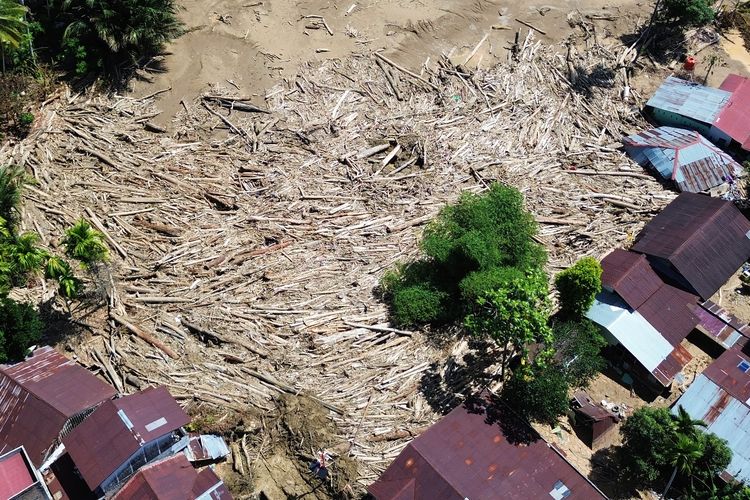 Foto udara tumpukan gelondongan kayu di permukiman di Tabiang Bandang Gadang, Nanggalo, Padang, Sumatera Barat, Selasa (9/12/2025). Gelondongan kayu yang terbawa banjir bandang sejak dua pekan lalu masih tersangkut di wilayah itu.  