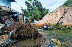 Diterpa Hujan dan Angin Kencang, Pohon Tumbang Timpa Rumah Warga di Jagakarsa