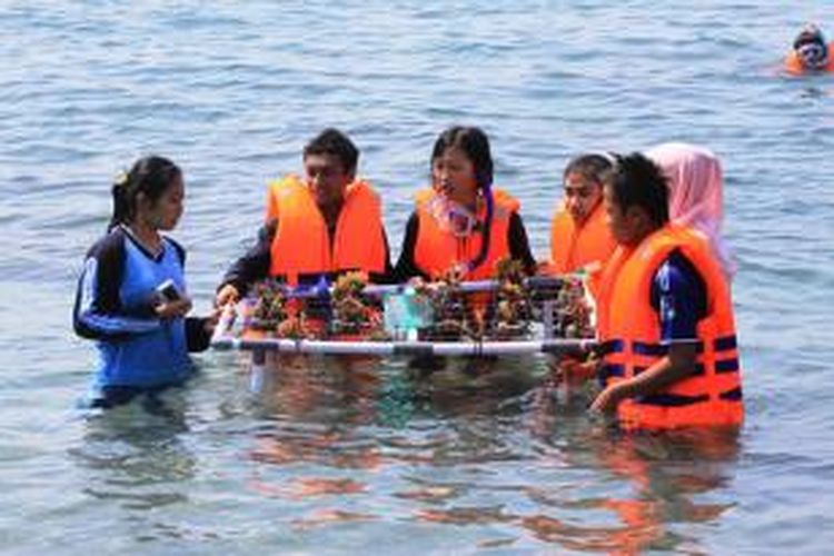 Pelajar menanam terumbu karang di Pantai Bangsring Banyuwangi