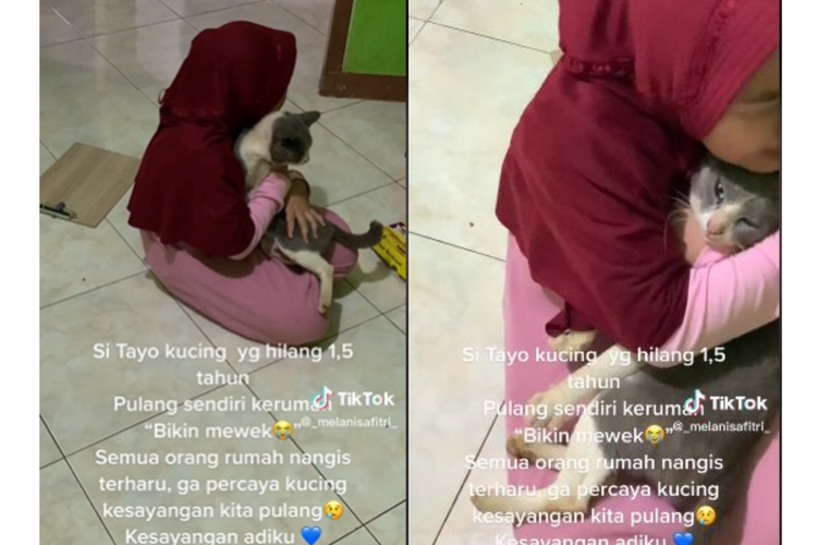 Tangkapan layar video TikTok berisi pertemuan kembali pemilik dengan kucing yang hilang selama 1,5 tahun.