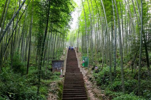 Mengapa China Dijuluki sebagai Negeri Tirai Bambu?