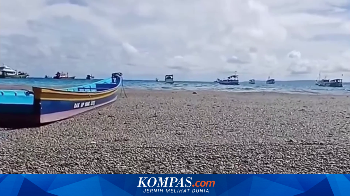 Fenomena Batu Apung Penuhi Perairan Sarmi dan Biak Papua, Ini Penjelasan BMKG