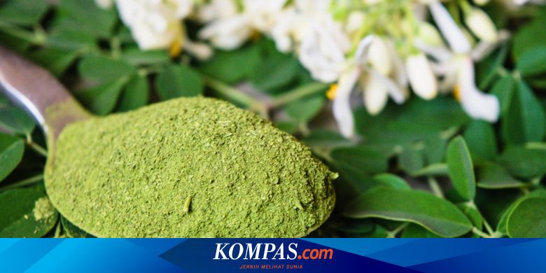 Disangka Pelihara Ilmu Magis, Pria Blora Ekspor Kelor Sampai Eropa