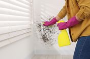 3 Cara Menghilangkan Bau Apak dari Rumah