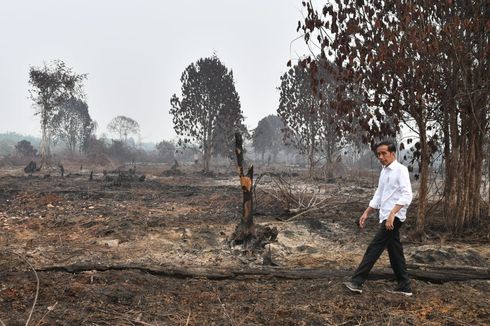 Tinjau Lokasi Kebakaran Hutan di Riau, Jokowi Berpesan Ini... 