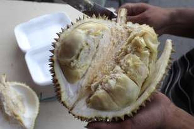 Durian Medan yang ditawarkan oleh Andalas Durian 528, Mangga Besar, Selasa (26/1/2016).