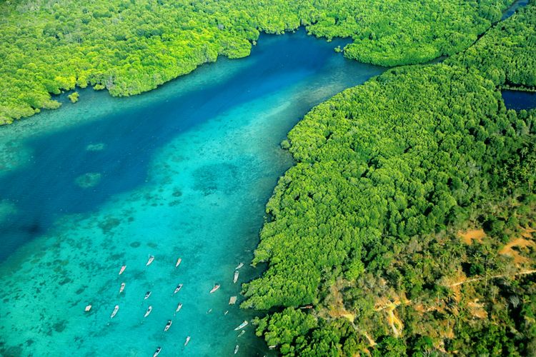 Ilustrasi pemandangan salah satu pulau di Kepulauan Karimunjawa, Jepara, Jawa Tengah.