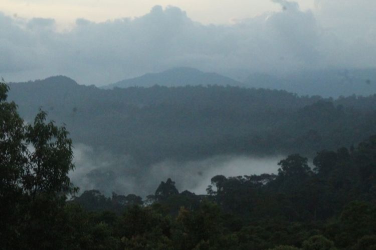 Gunung Batuah tampak dari kejauhan merupakan hulu Sungai Penetai lokasi penambangan emas ilegal di Kecamatan Batang Merangin, Kabupaten Kerinci, Jambi
