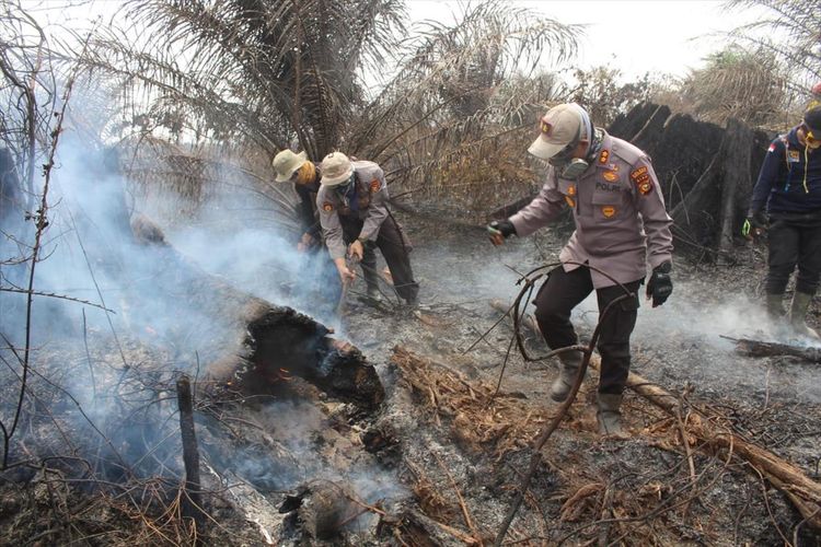 Petugas kepolisian jajaran Polres Pelalawan memadamkan api karhutla di kawasan TNTN di Kabupaten Pelalawan, Riau, Kamis (8/8/2019). Dok. Polres Pelalawan