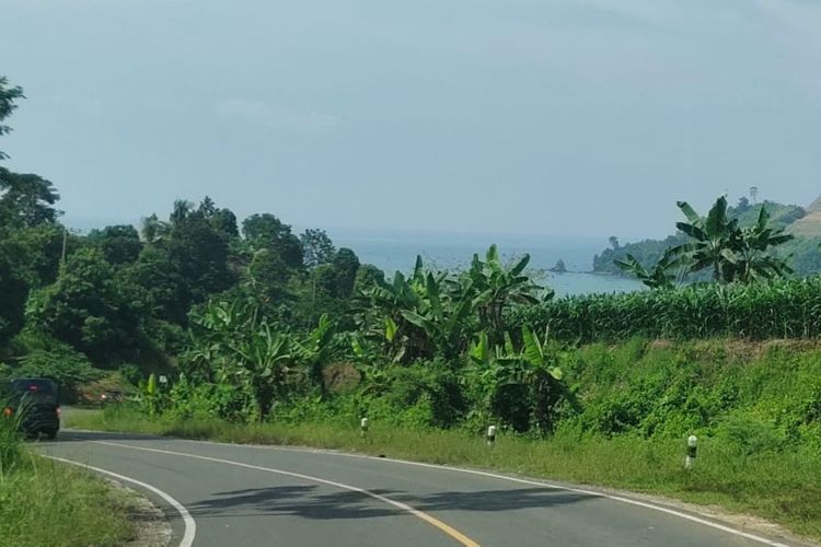 Jalan Pantai Selatan (Pansela) Jawa.