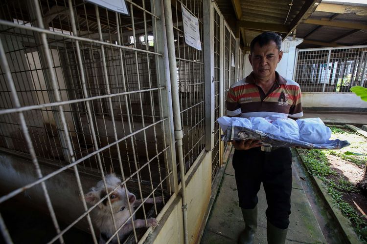 Tukidjo membawa jasad anjing dibungkus kain untuk proses kremasi di Pondok Pengayom Satwa, Jakarta Selatan, Selasa (2/4/2019). Selain krematorium di tempat ini terdapat sekitar 700 makam hewan peliharaan serta shelter hewan.