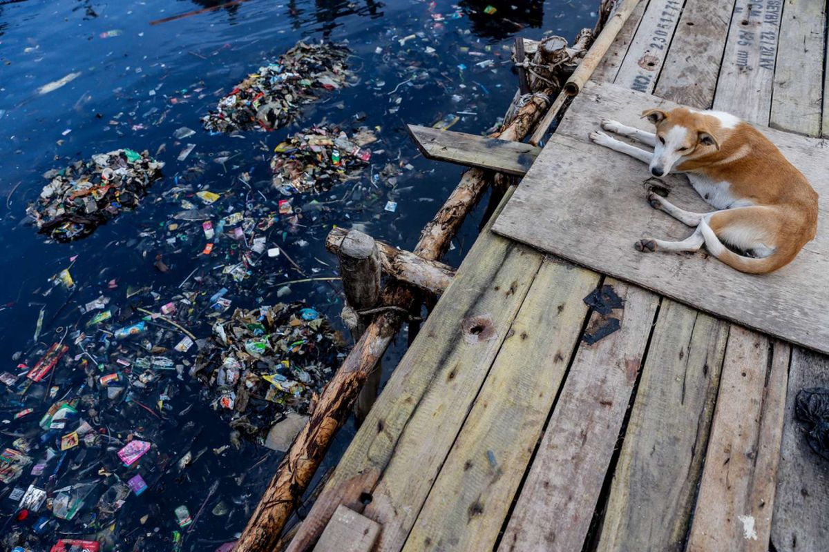 Sampah yang menumpuk di kawasan Teluk Jakarta, Muara Angke, Jakarta Utara, Rabu (14/3/2018). Pencemaran di wilayah Teluk Jakarta mayoritas bersumber dari limbah domestik rumah tangga yang menyebabkan air laut menjadi tercemar dan berdampak buruk bagi ekosistem di lingkungan sekitar. *** Local Caption ***