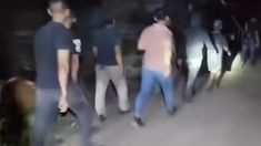Viral Video Satu Kompi TNI Diduga Gondol Belasan Lembu Warga di Labuhanbatu