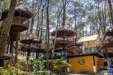 Harga Tiket Kopeng Treetop Semarang Tahun 2021, Cuma Buka Weekend dan Hari Libur