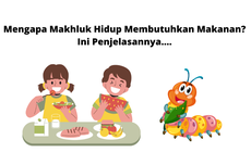 Mengapa Makhluk Hidup Membutuhkan Makanan? Ini Penjelasannya....