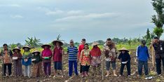 Waspadai El Nino, Kementan Perkuat Pangan lewat Integrasi Tanaman Kelapa dengan Padi Gogo